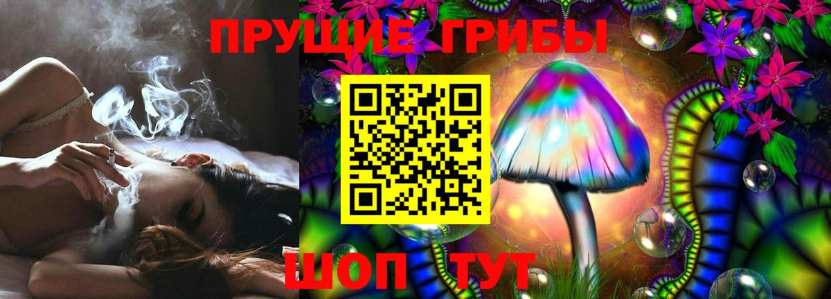 Псилоцибиновые грибы прущие грибы Полысаево