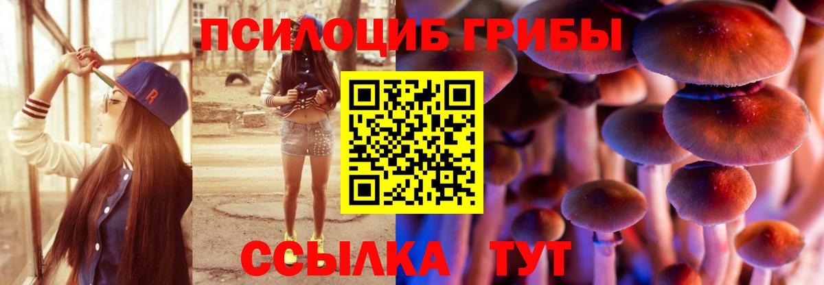 что такое   Галлюциногенные грибы мицелий  Вход с VPN  Полысаево 